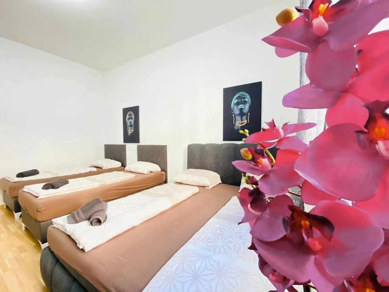 Apartment Family Studio- 7 Minutes To Schoenbrunn Palace Vienna